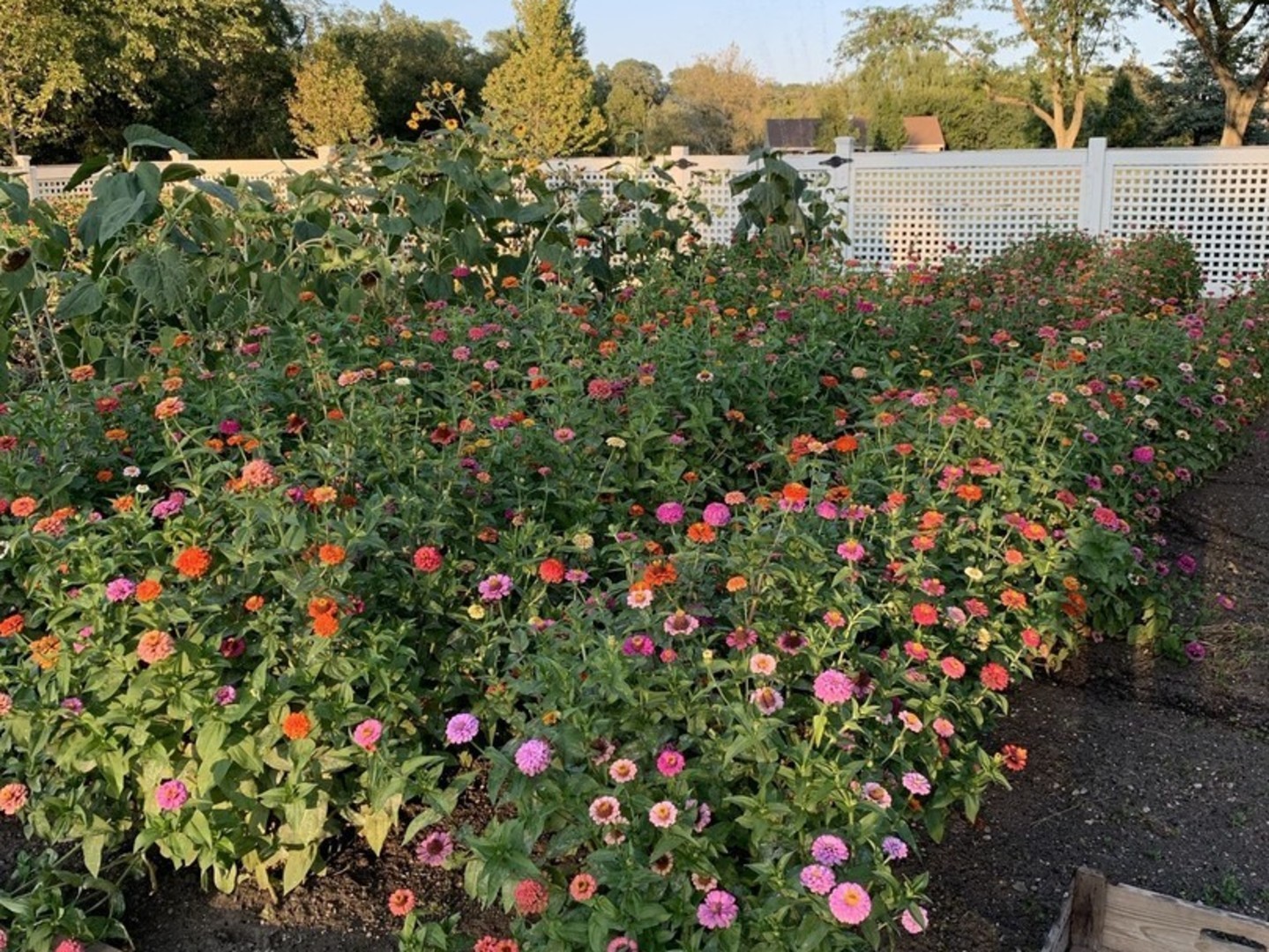 404 Caesar Drive, Barrington Hills, IL 60010