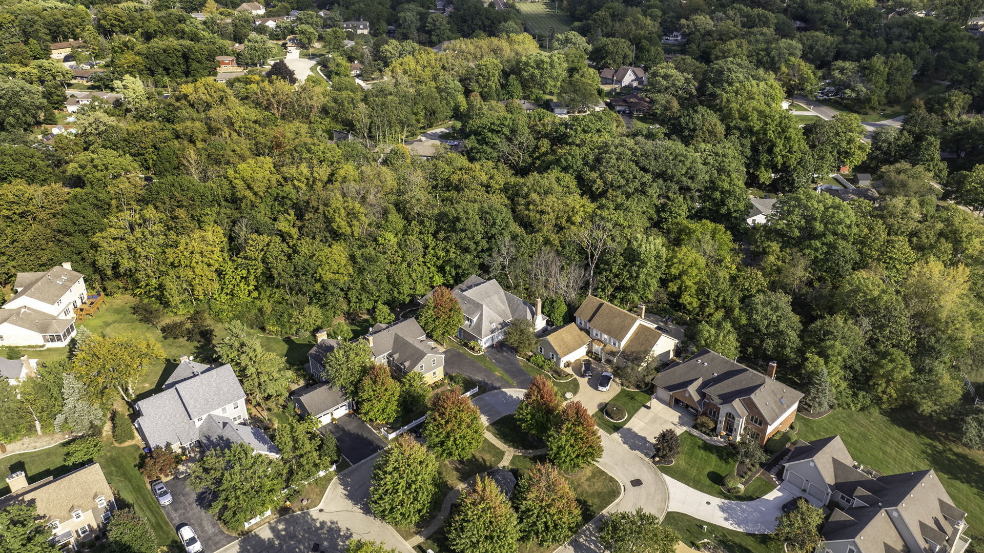 719 Stonebridge Road, Frankfort, IL 60423