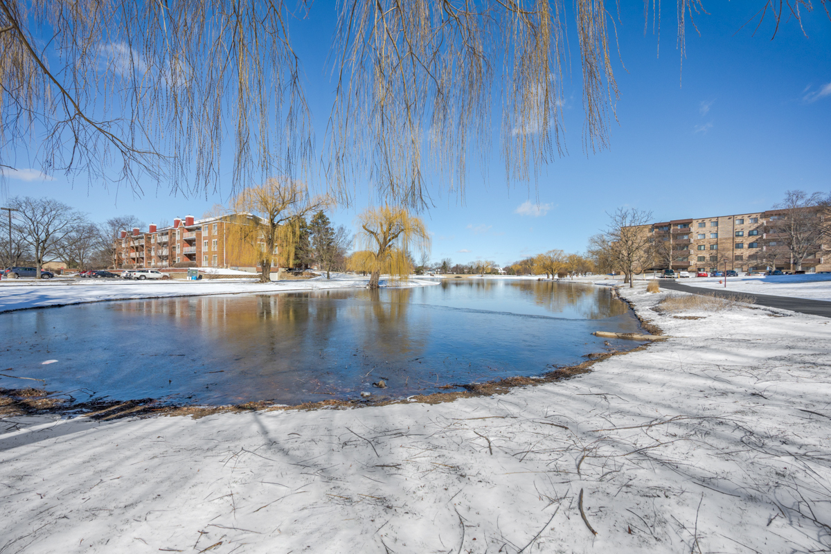 720 Wellington Avenue #117, Elk Grove Village, IL 60007