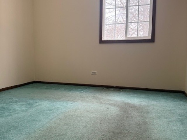 809 Thompson Avenue, Winthrop Harbor, IL 60096