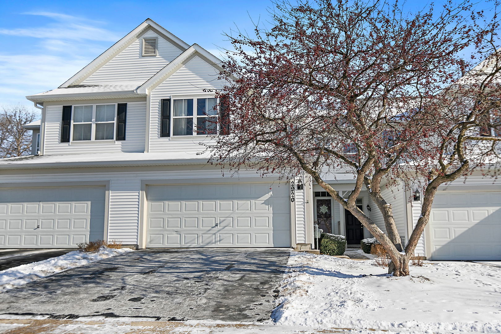 2920 LANGSTON Circle #2920, St. Charles, IL 60175