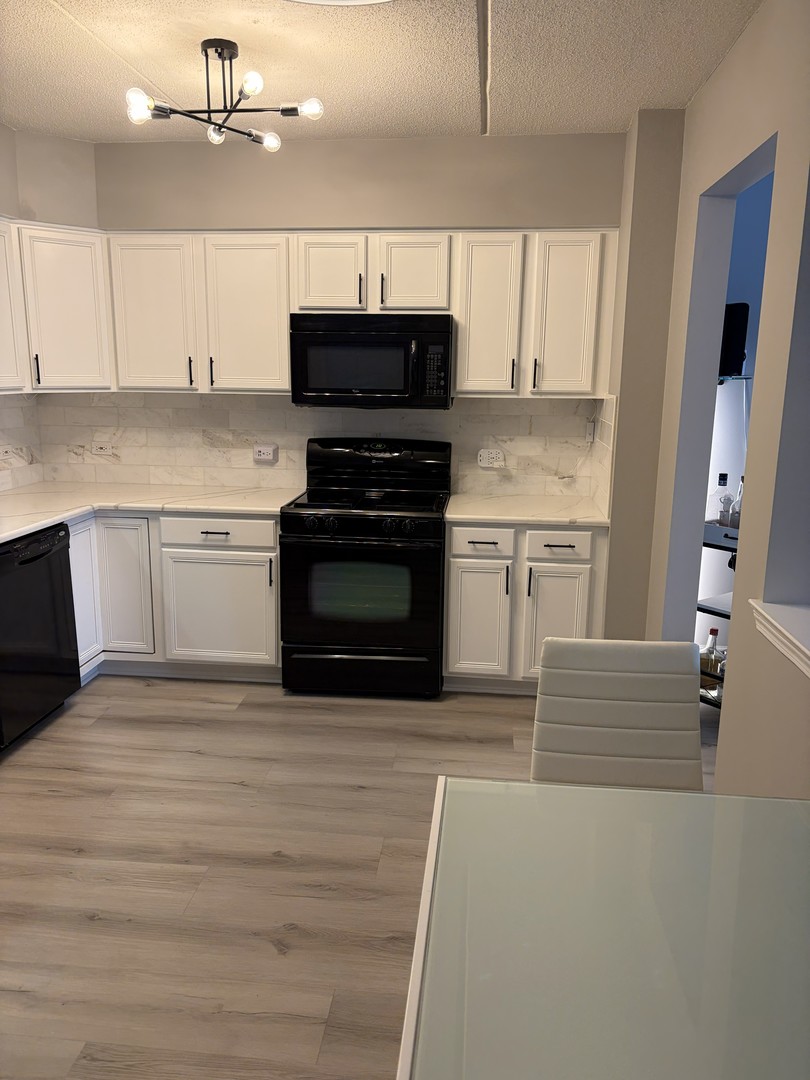 1349 E Washington Street #404, Des Plaines, IL 60016