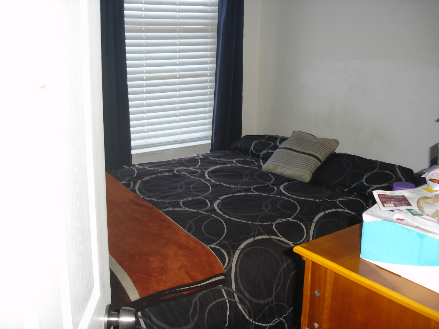 731 E 50th Street, Chicago, IL 60615