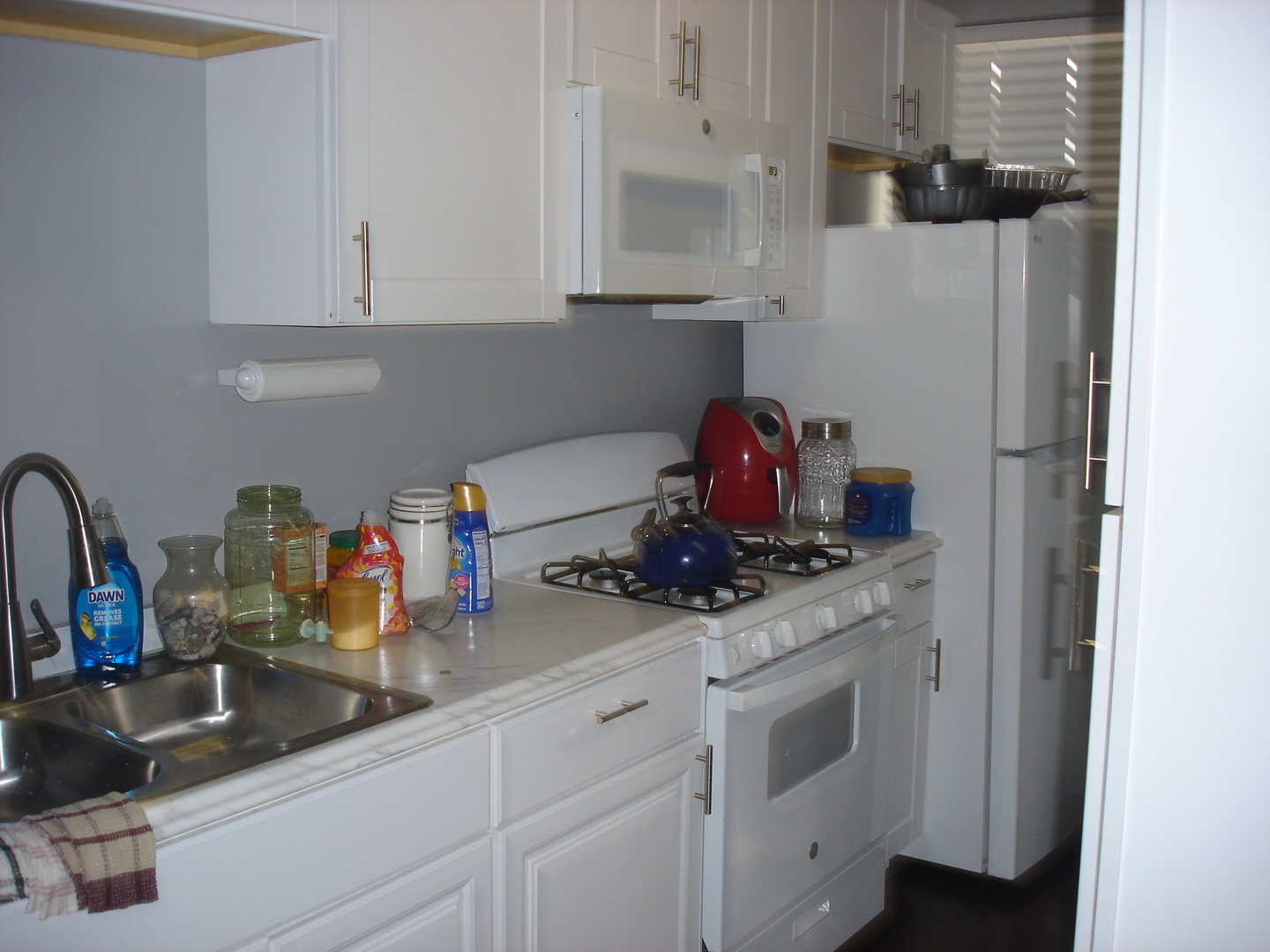 731 E 50th Street, Chicago, IL 60615