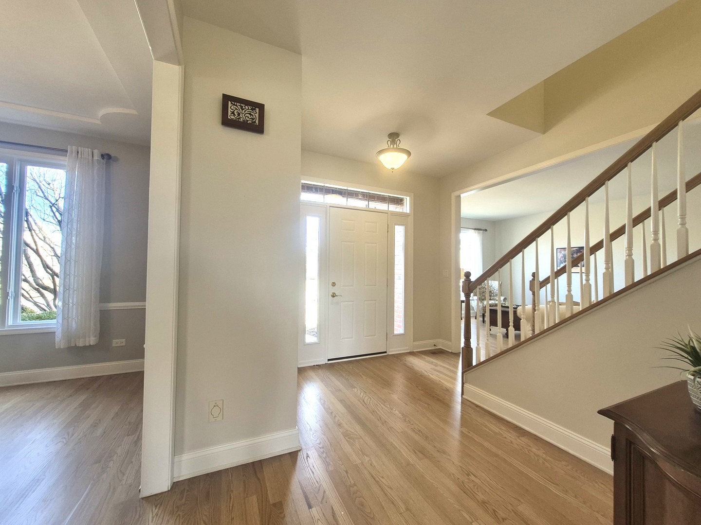 22648 Maddeline Lane, Frankfort, IL 60423