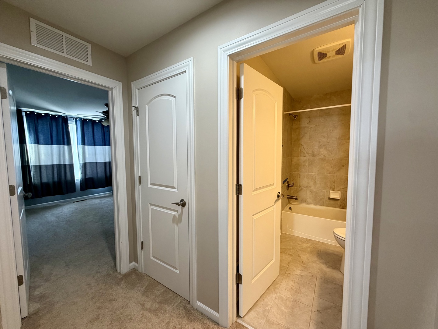 3907 Nannyberry Street, Naperville, IL 60564