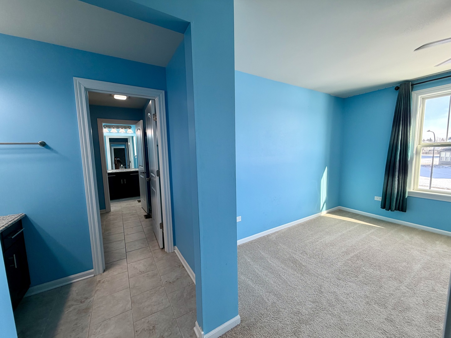 3907 Nannyberry Street, Naperville, IL 60564