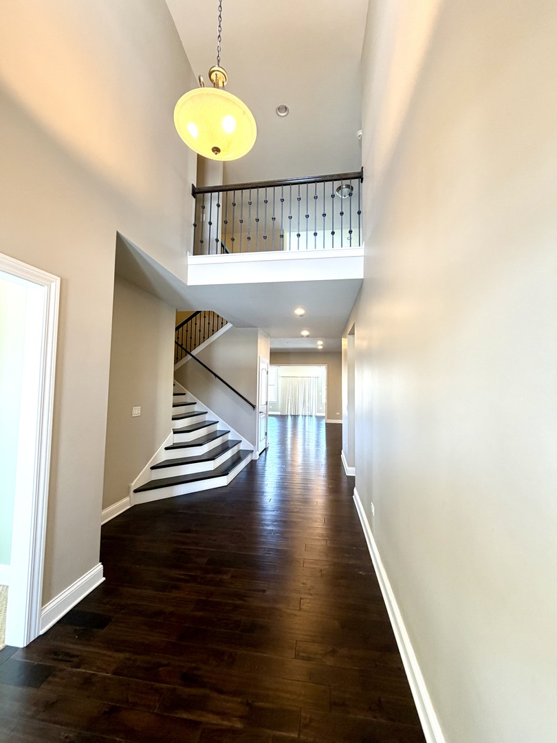 3907 Nannyberry Street, Naperville, IL 60564