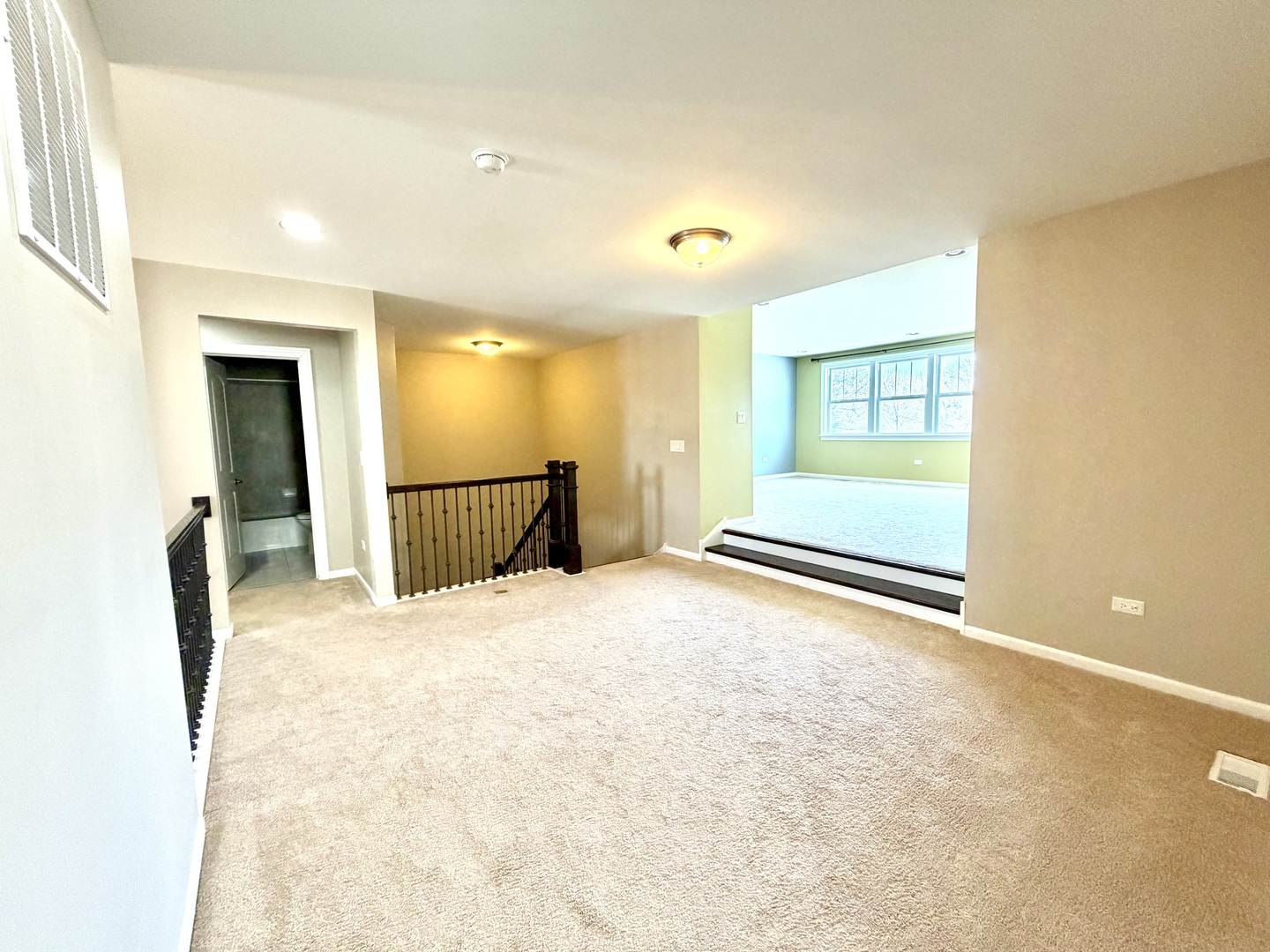 3907 Nannyberry Street, Naperville, IL 60564