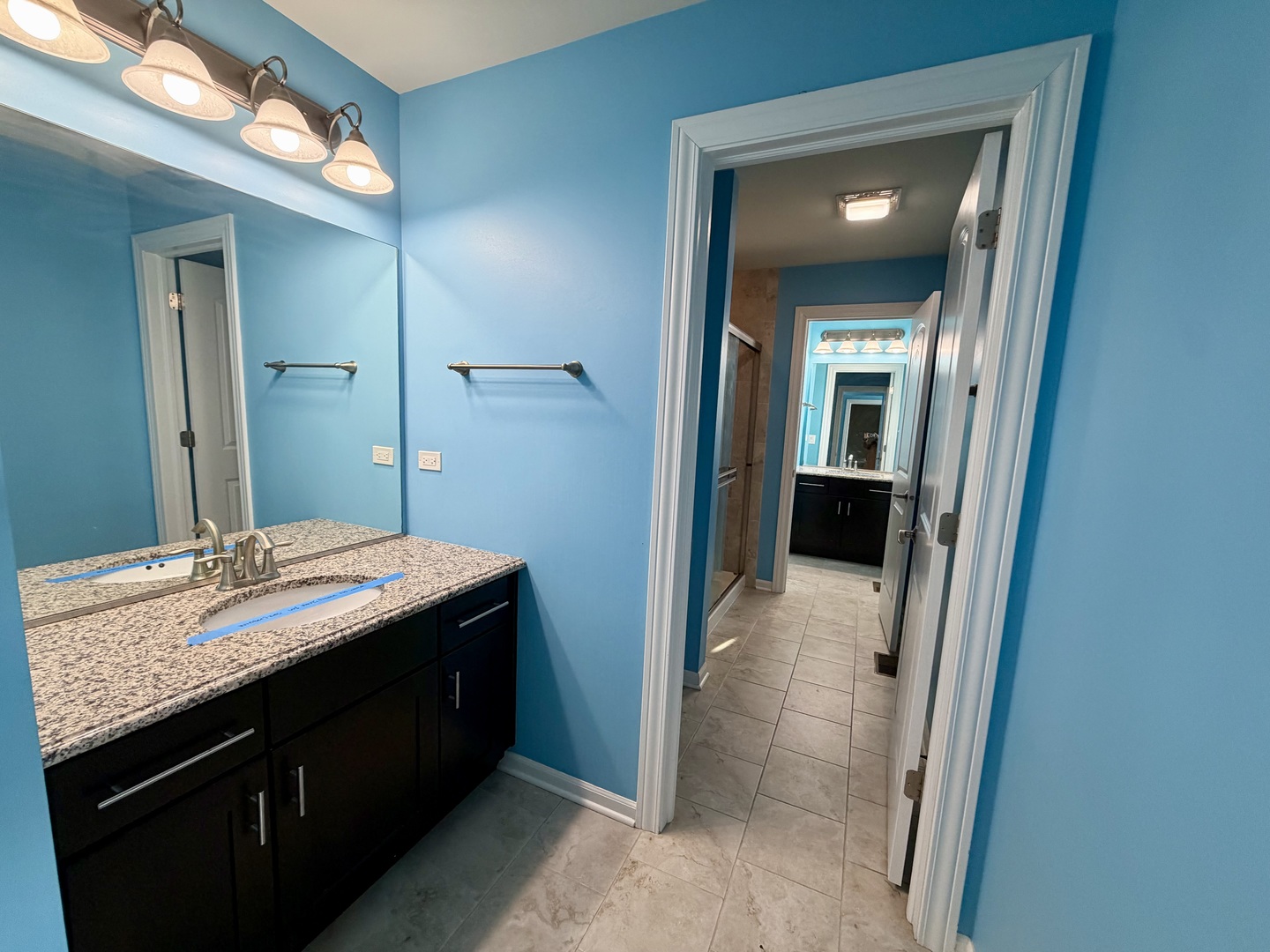 3907 Nannyberry Street, Naperville, IL 60564