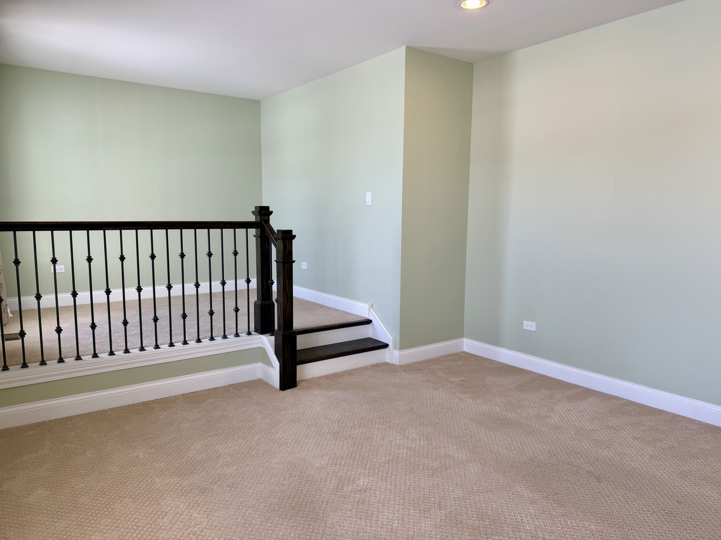 3907 Nannyberry Street, Naperville, IL 60564