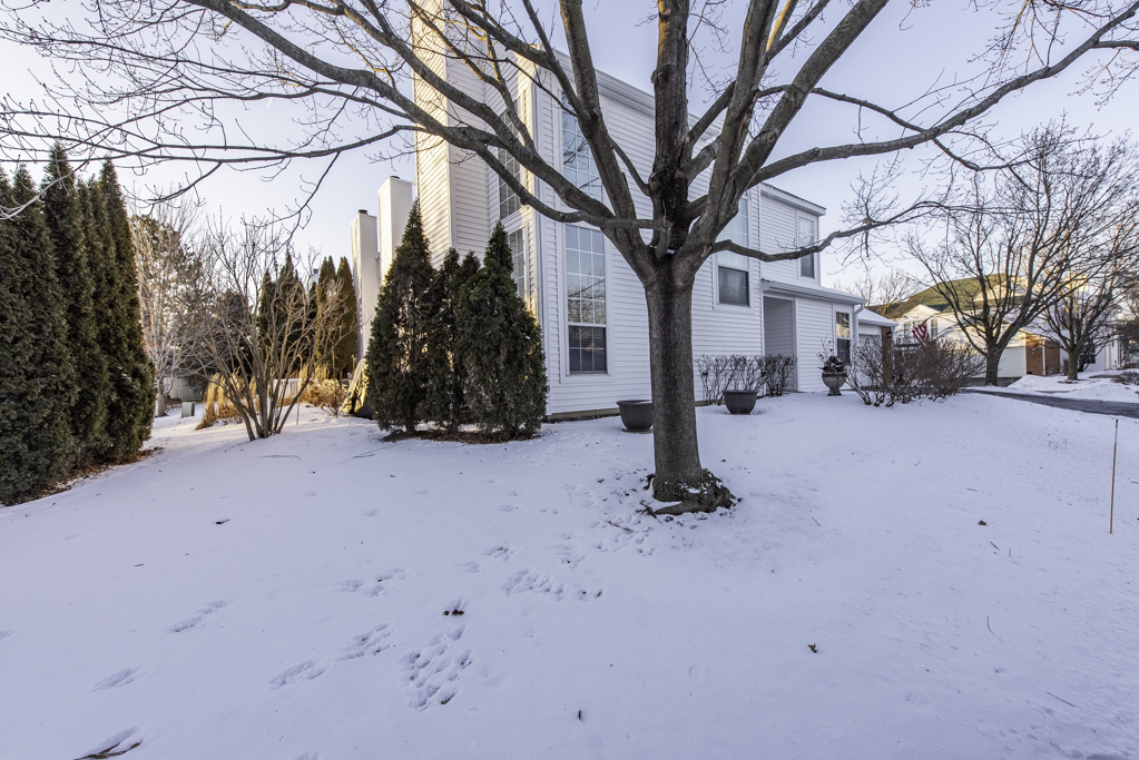 110 Lauralton Street, Lake Bluff, IL 60044