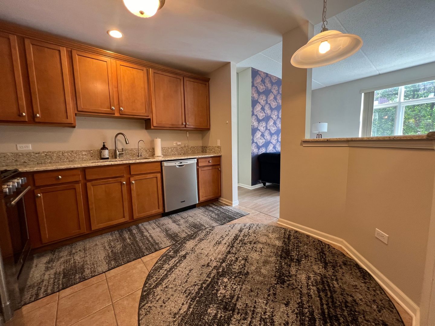 855 E 22nd Street #206, Lombard, IL 60148