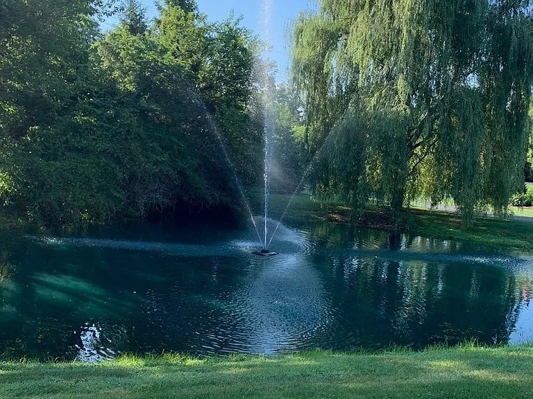 7940 Wolf Road, Burr Ridge, IL 60527