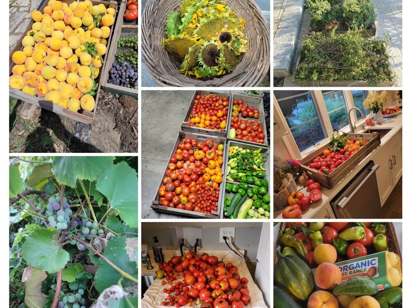 404 Caesar Parcel#2 Drive, Barrington, IL 60010