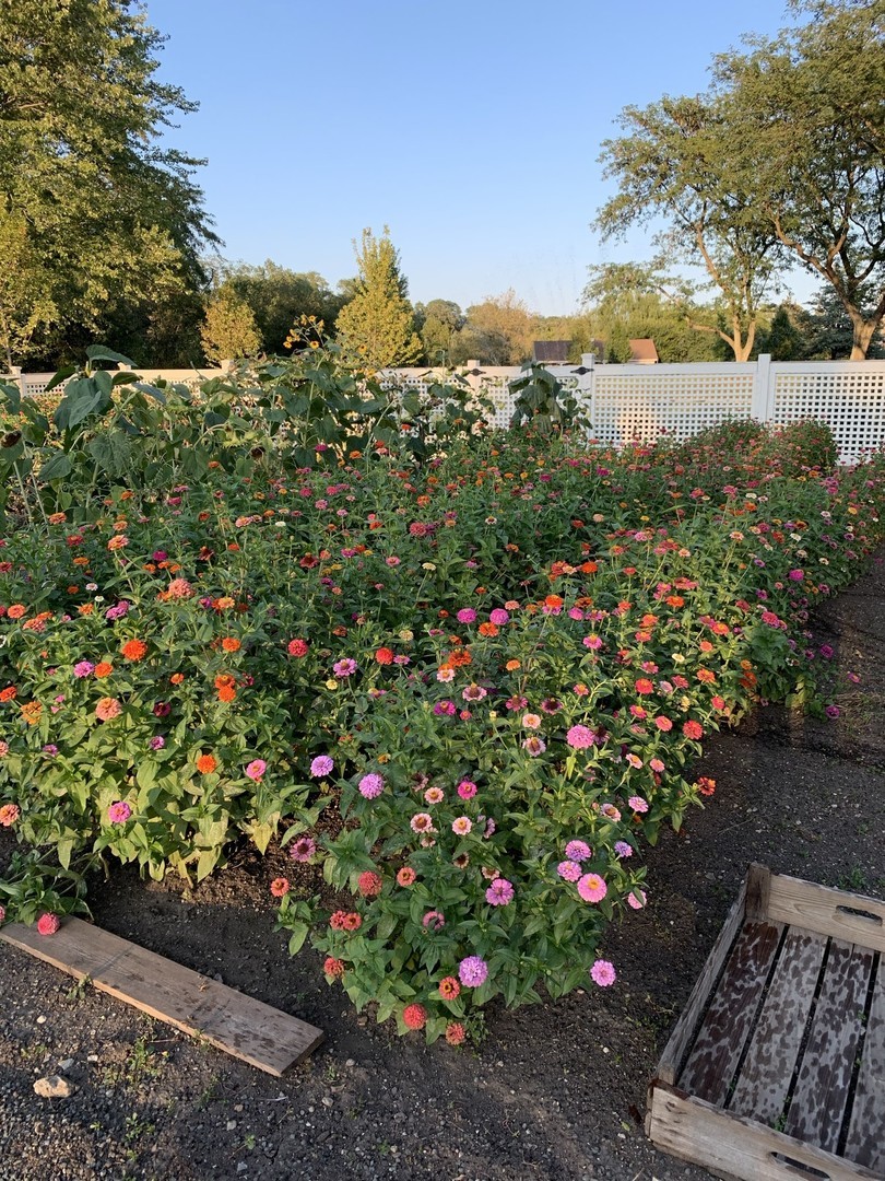 404 Caesar Parcel#2 Drive, Barrington, IL 60010