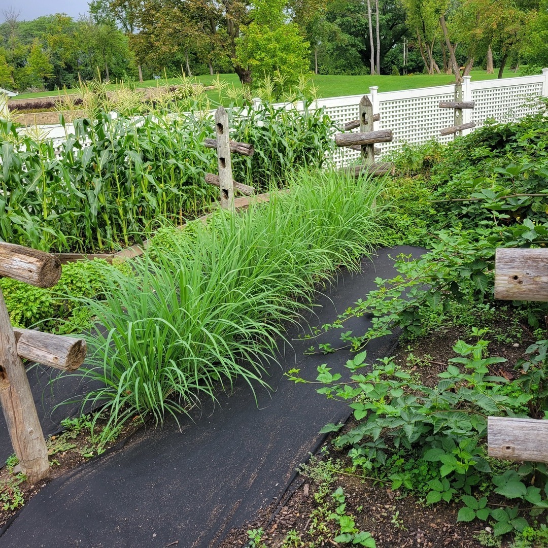 404 Caesar Parcel#2 Drive, Barrington, IL 60010