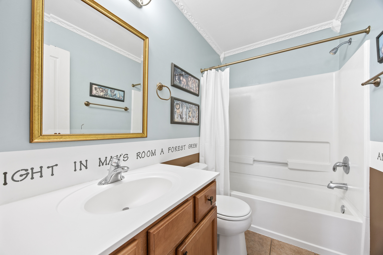 133 N Cranberry Street, Bolingbrook, IL 60490