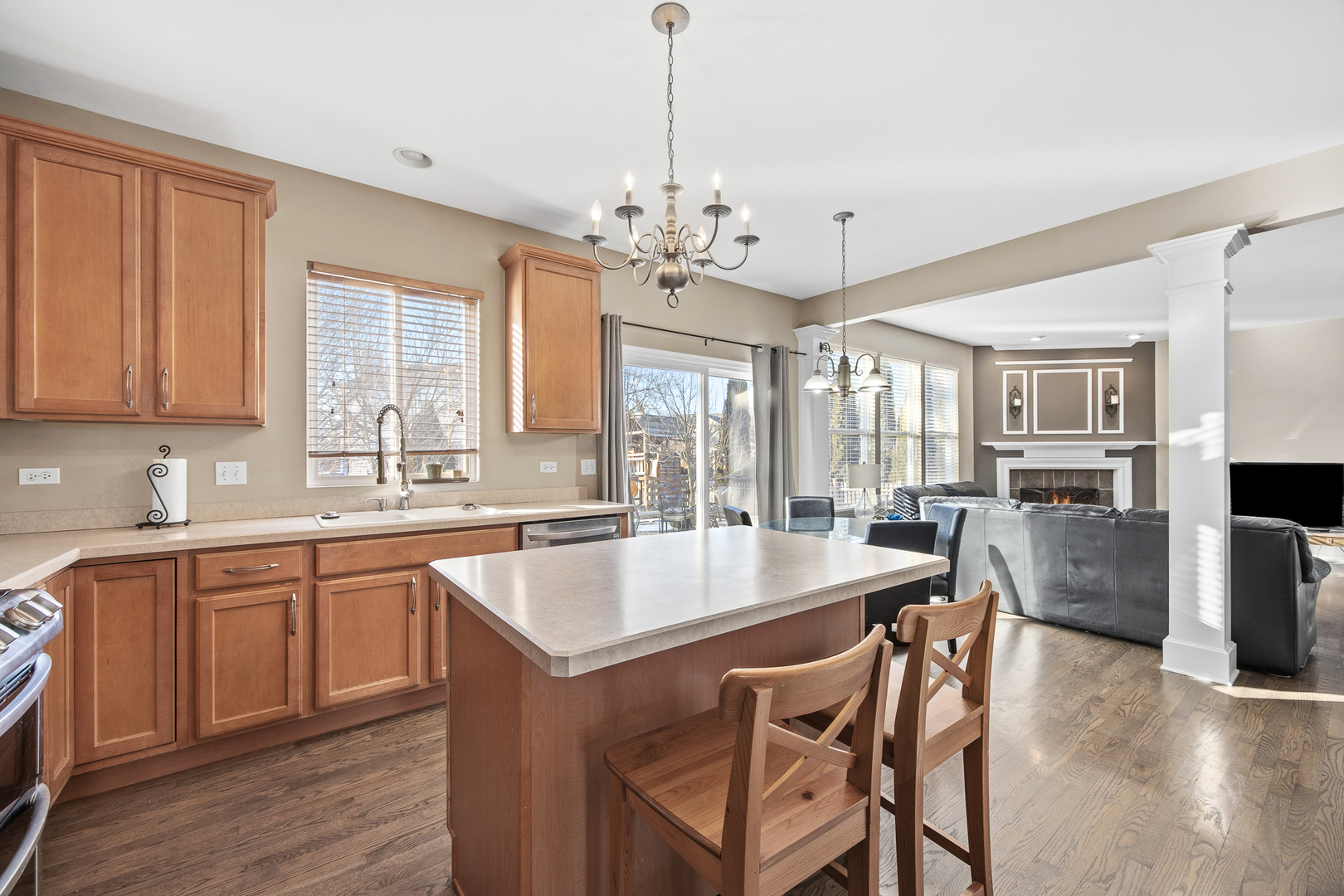 133 N Cranberry Street, Bolingbrook, IL 60490