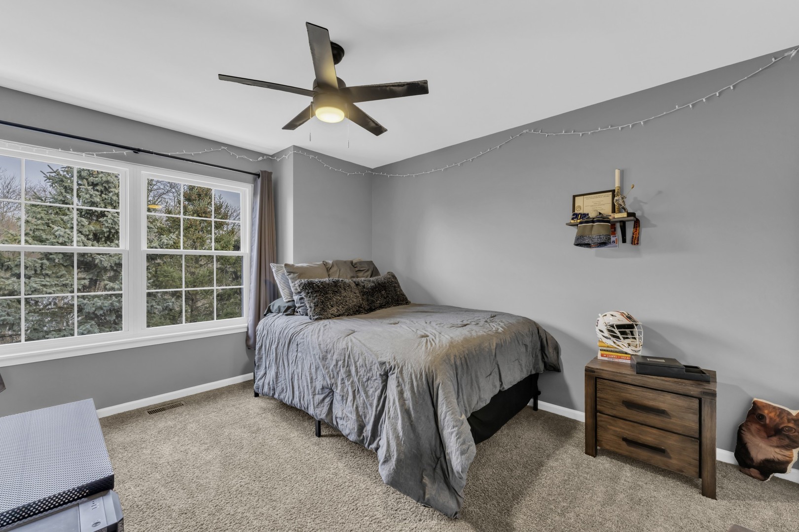 414 Bay Tree Circle, Vernon Hills, IL 60061