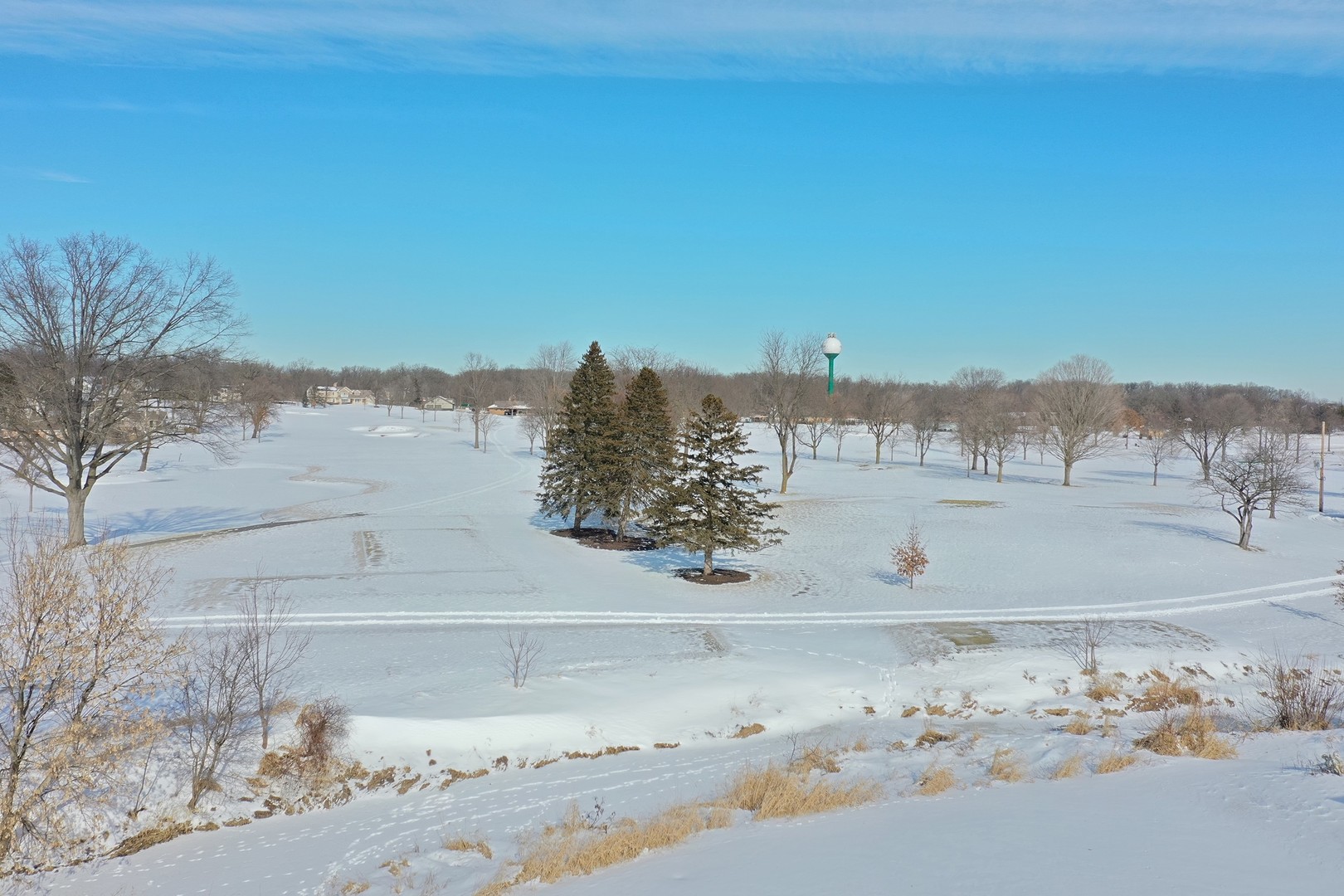 557 Aberdeen Road, Frankfort, IL 60423