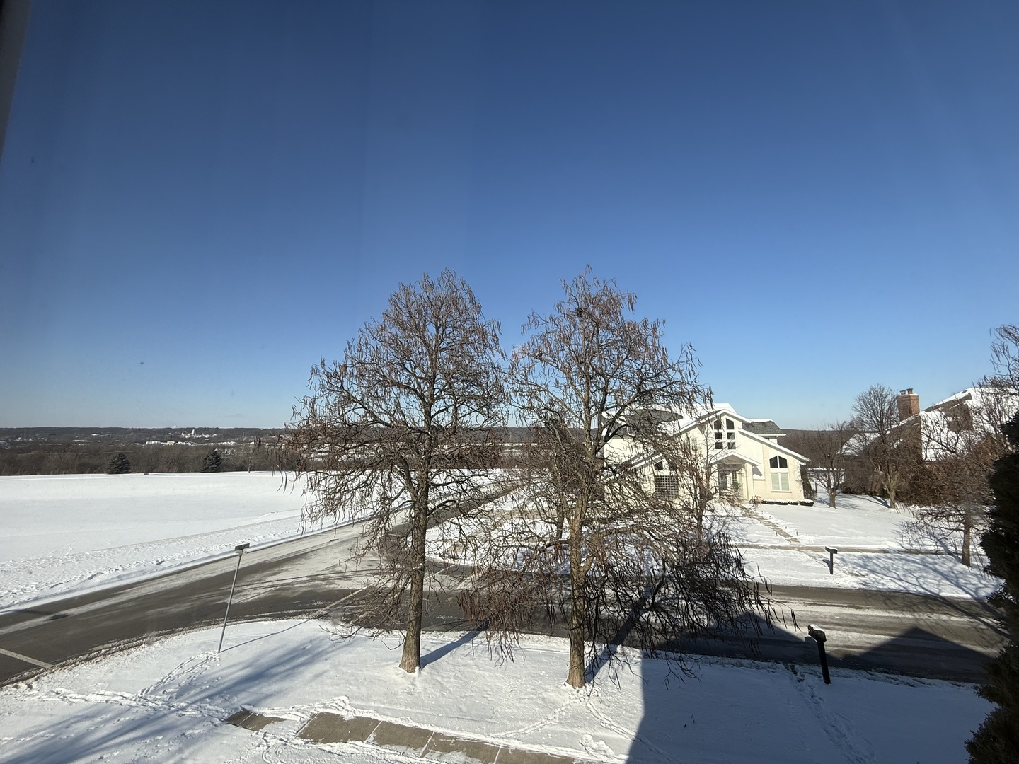 1004 Saddle Lane, Lemont, IL 60439