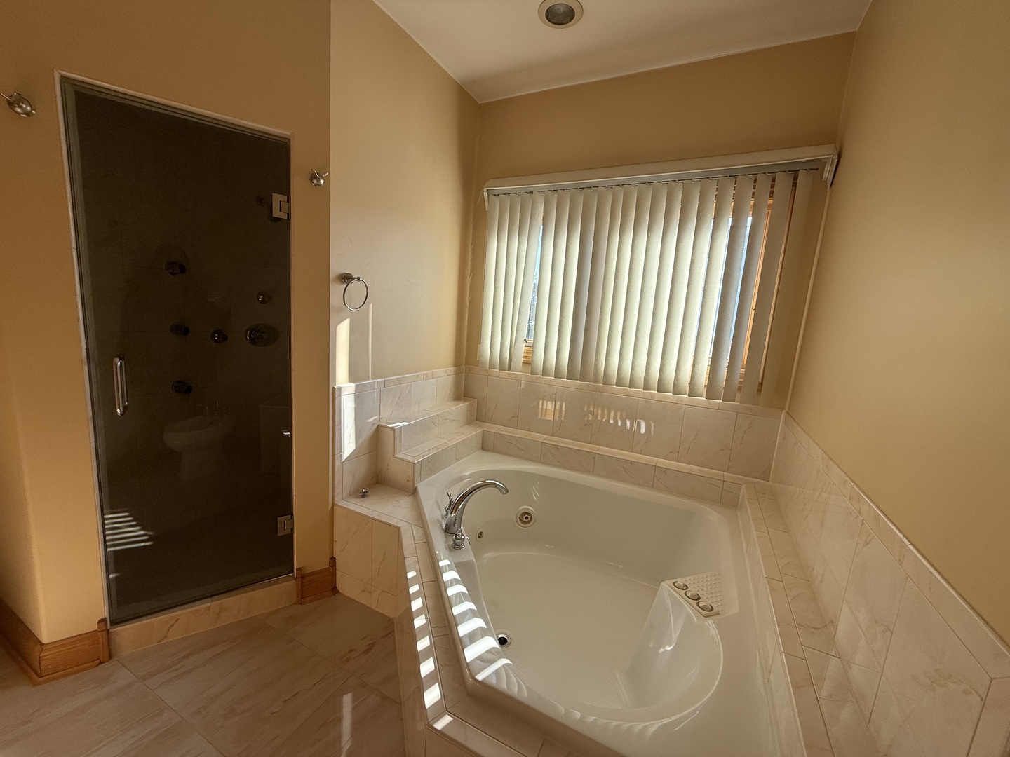 1004 Saddle Lane, Lemont, IL 60439