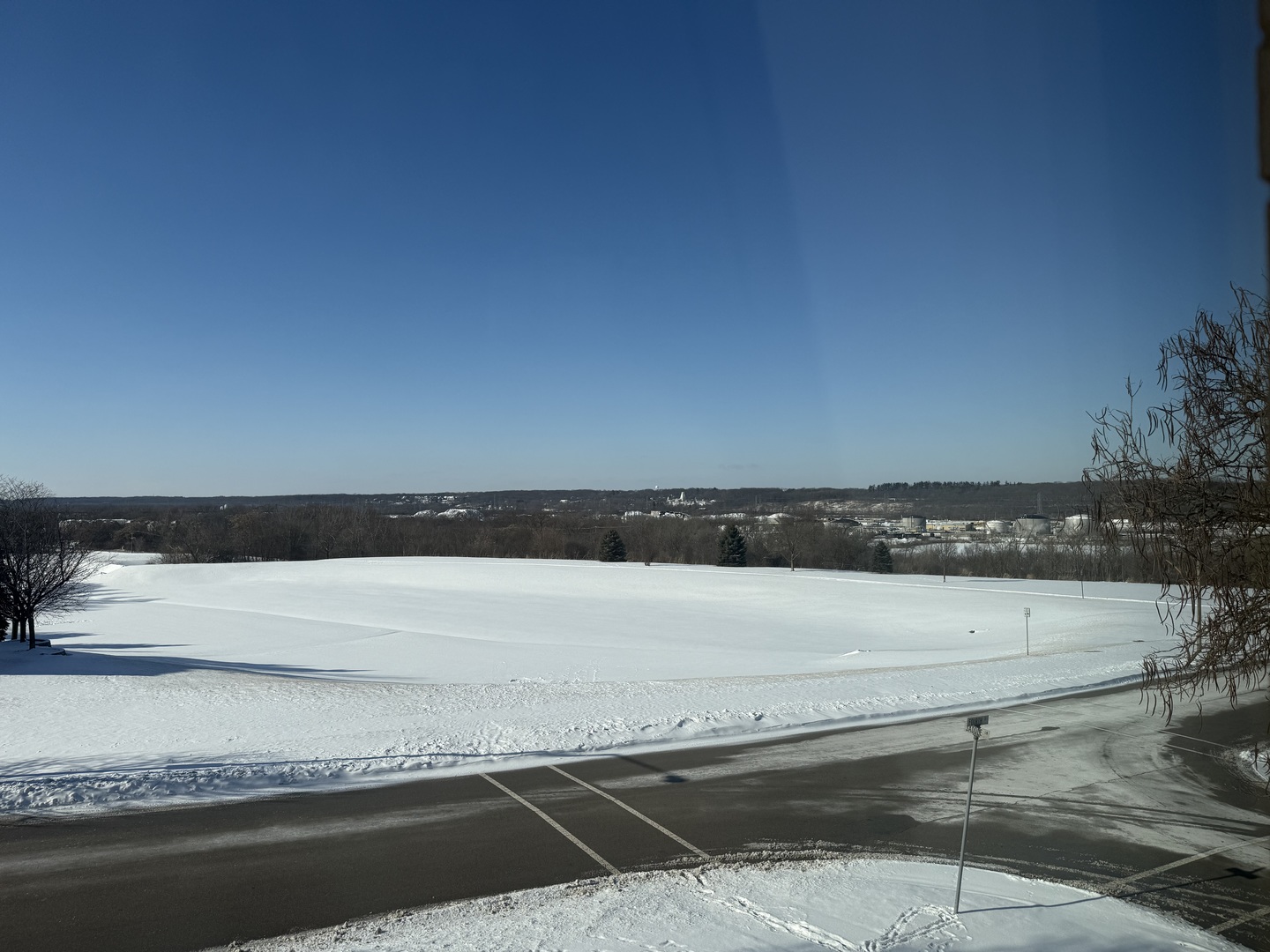 1004 Saddle Lane, Lemont, IL 60439