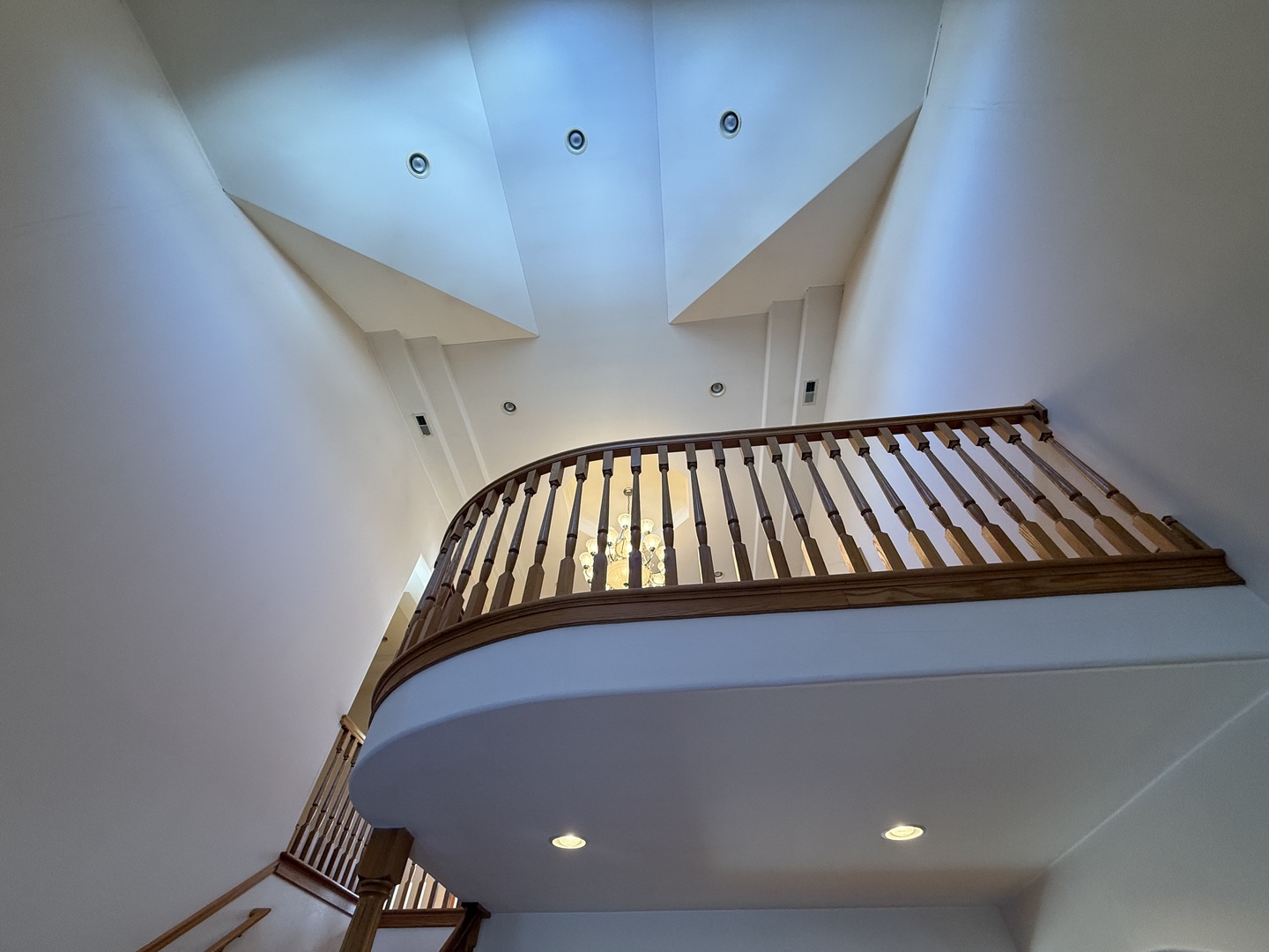 1004 Saddle Lane, Lemont, IL 60439