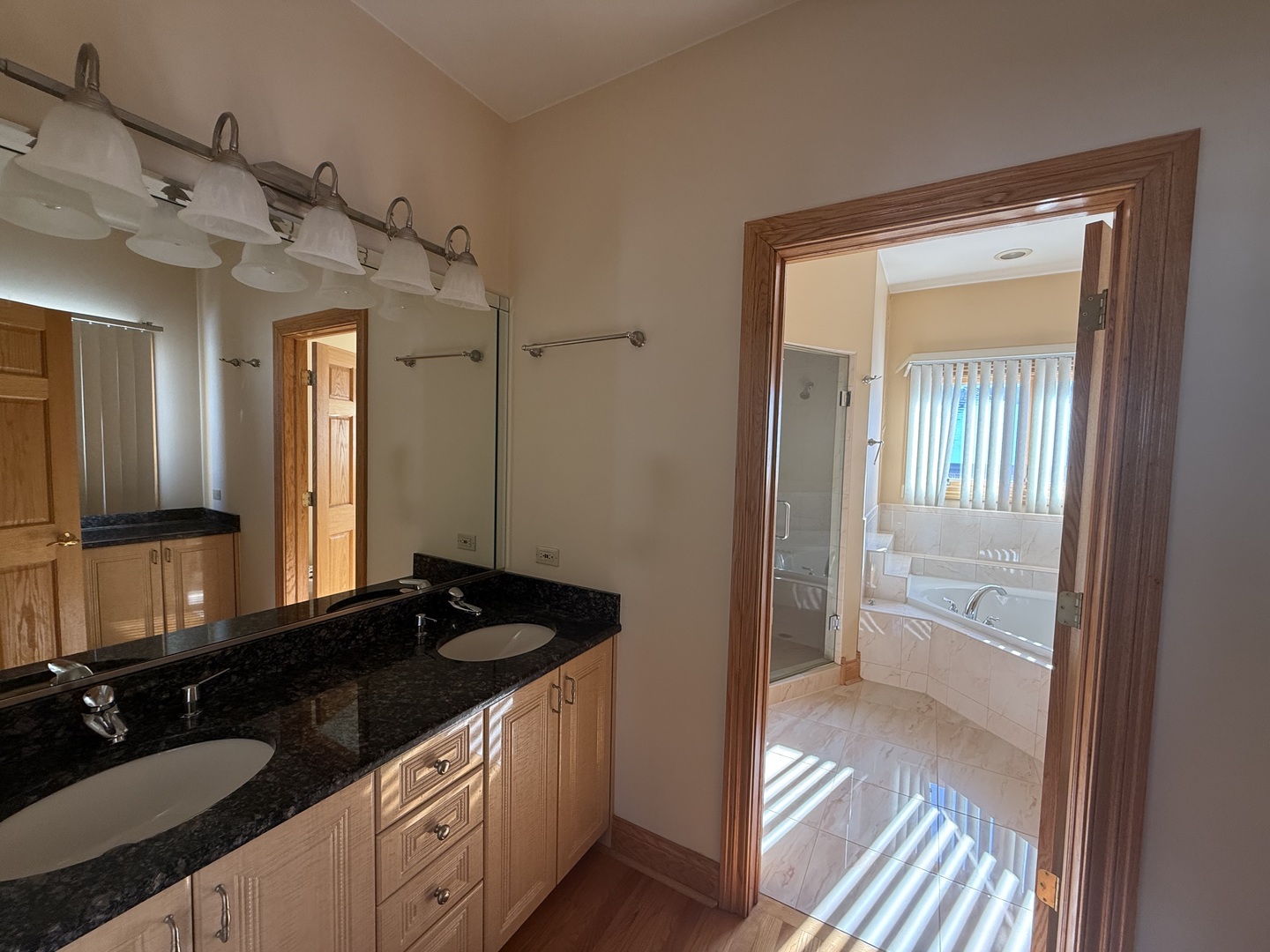 1004 Saddle Lane, Lemont, IL 60439