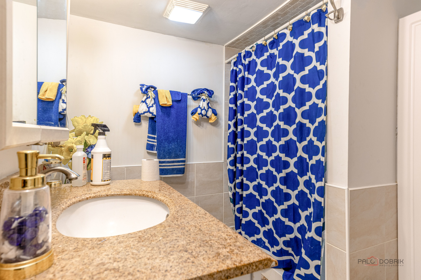 13076 W Pickford Street, Wadsworth, IL 60083