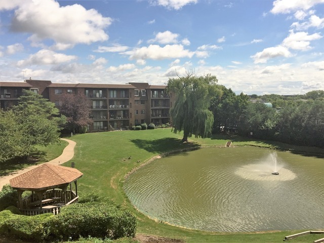 101 Old Oak Drive #216, Buffalo Grove, IL 60089