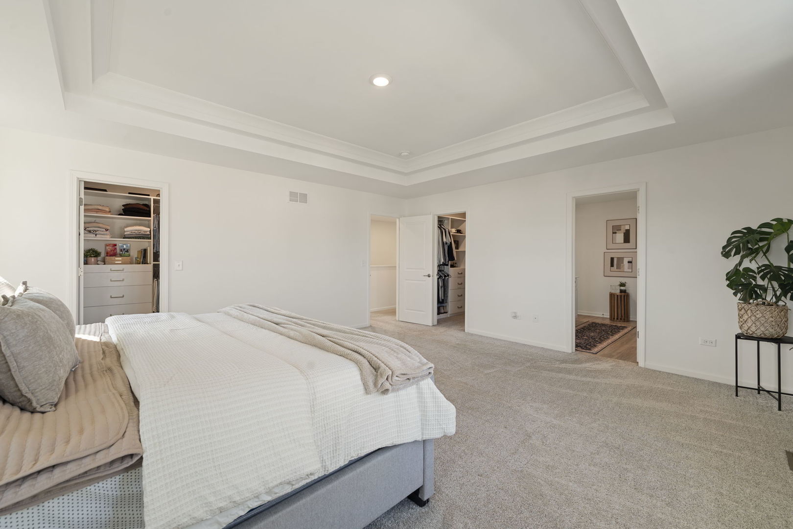 25220 W Zoumar Drive, Plainfield, IL 60586