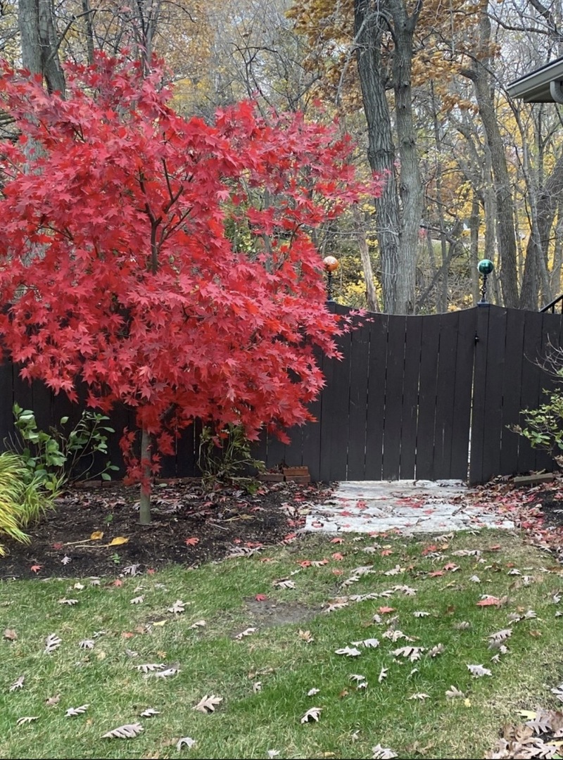 724 Ridge Road, Lemont, IL 60439