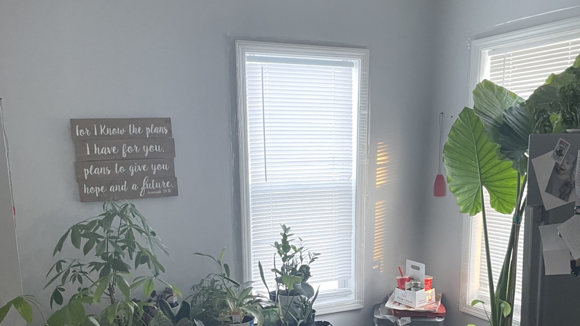 Bloomington, IL 61701