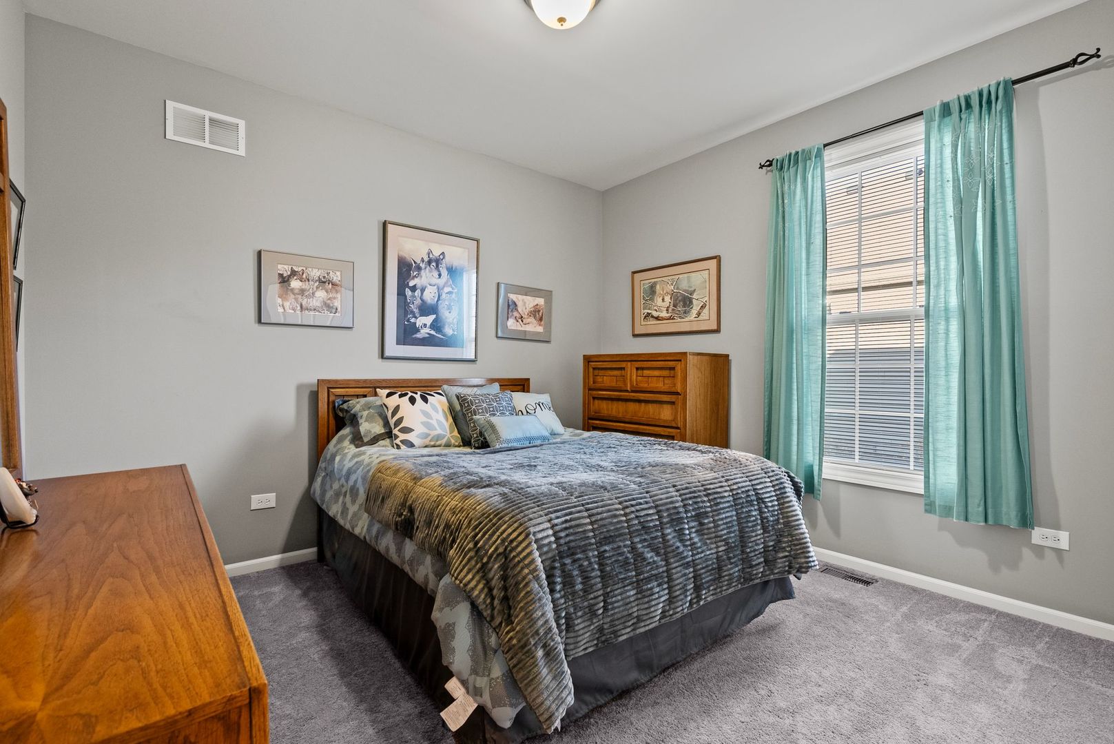 428 E Frontier Drive, Minooka, IL 60447