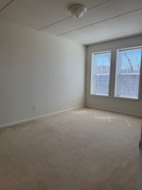 190 W Johnson Street #305, Palatine, IL 60067