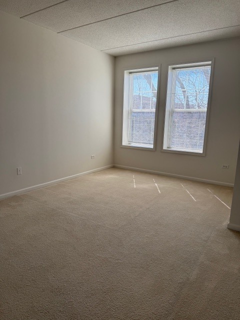 190 W Johnson Street #305, Palatine, IL 60067