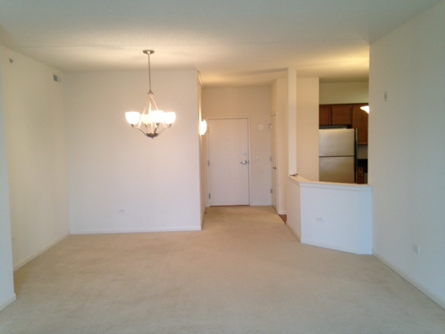 190 W Johnson Street #305, Palatine, IL 60067