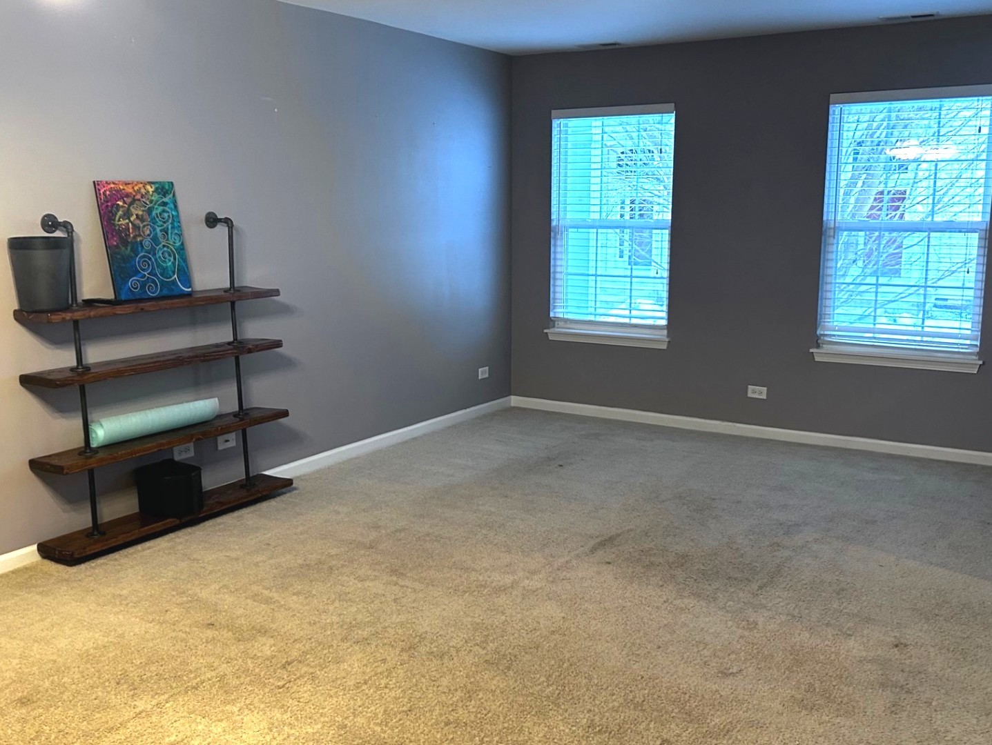 534 Richard Brown Boulevard, Volo, IL 60073