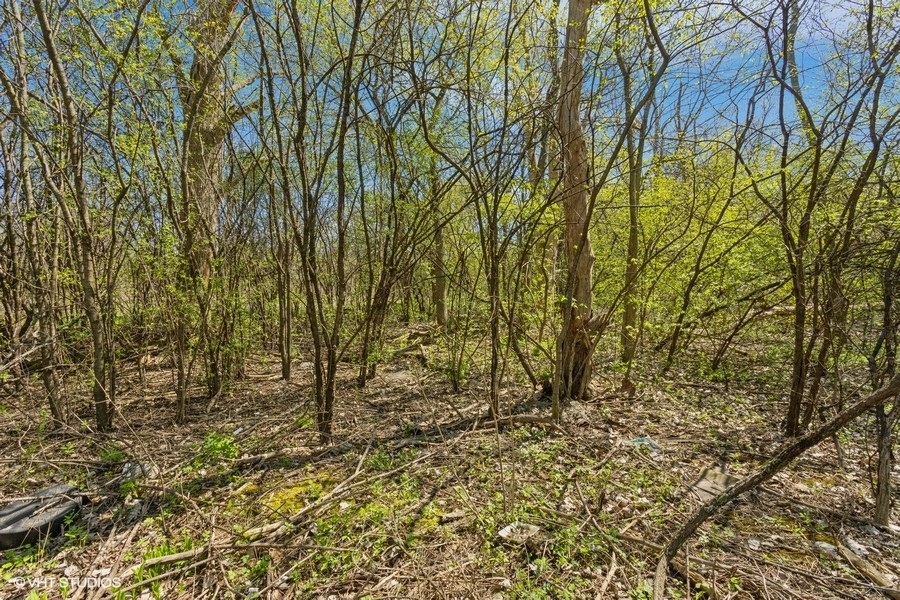 1630 Myrtle Park Street, Roselle, IL 60172