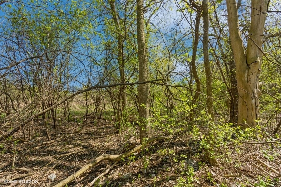 1630 Myrtle Park Street, Roselle, IL 60172