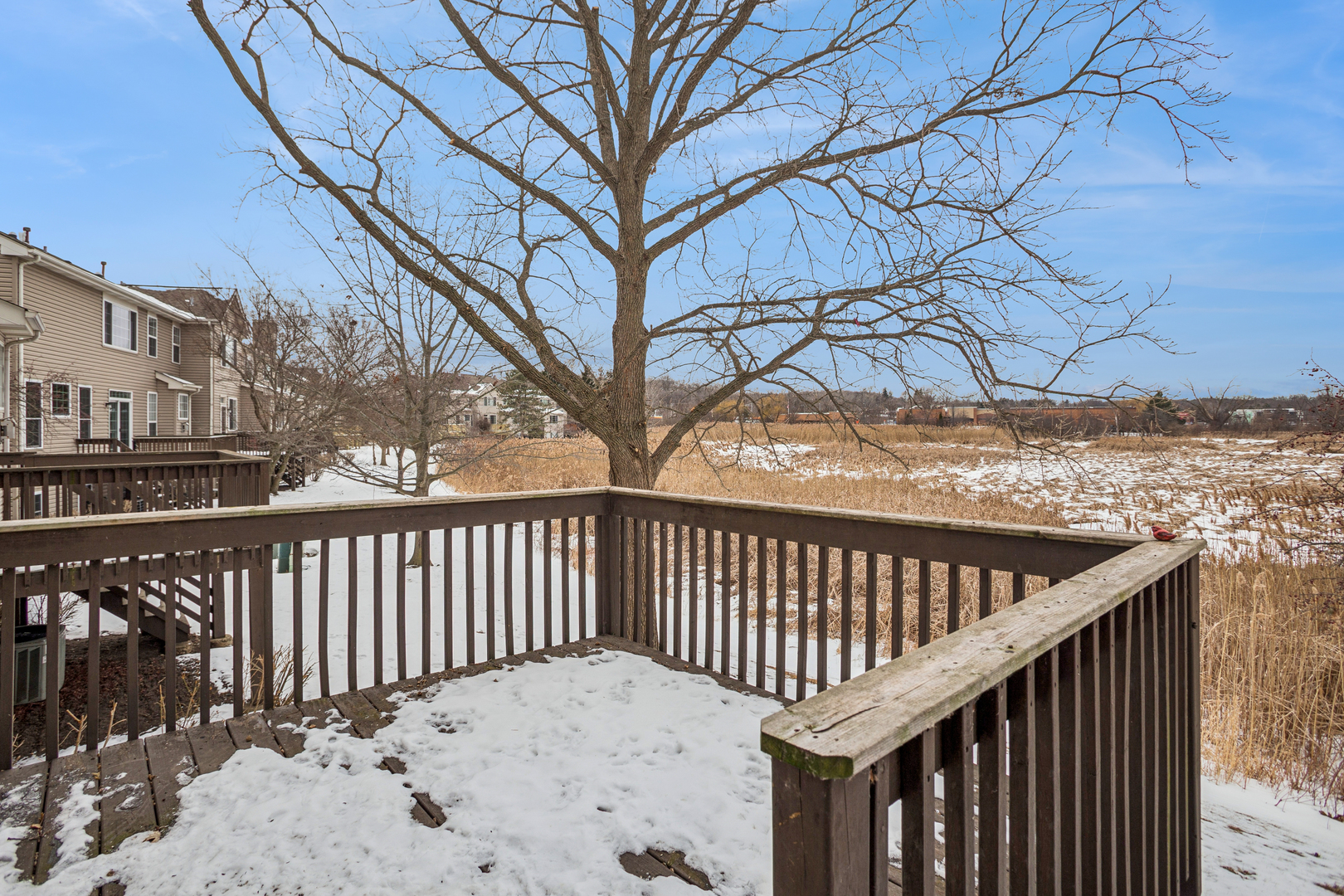 26 Blue Stem Court, Streamwood, IL 60107