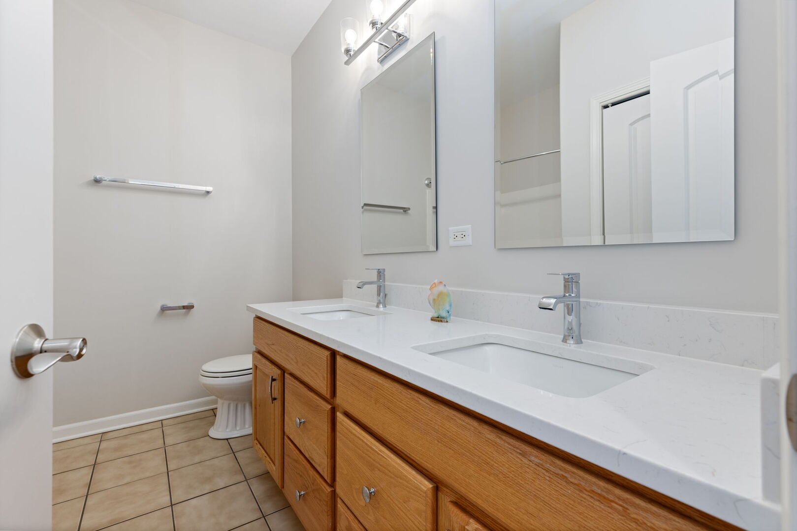 1569 Colleen Lane, Aurora, IL 60505