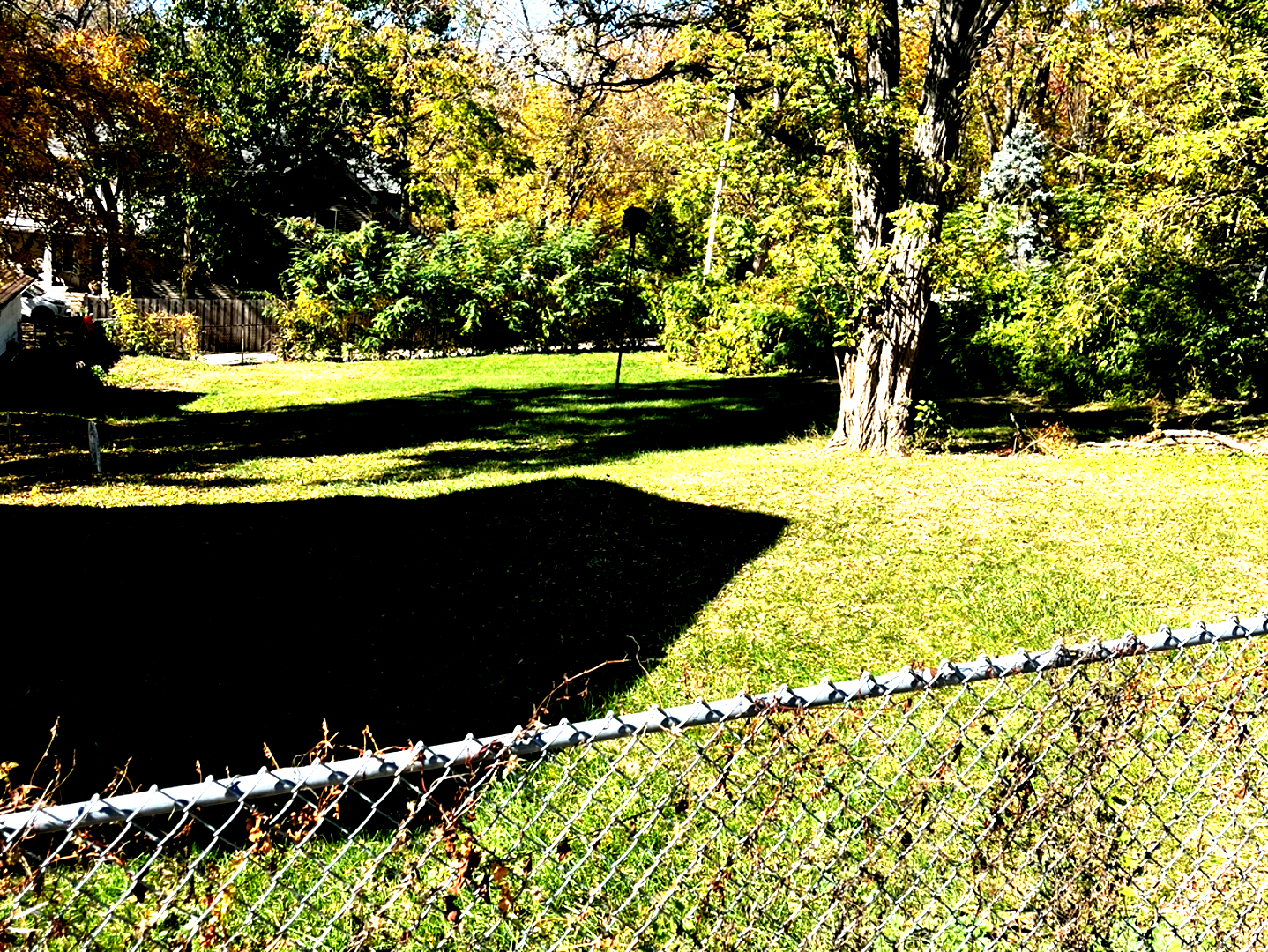 614 Czacki Street, Lemont, IL 60439