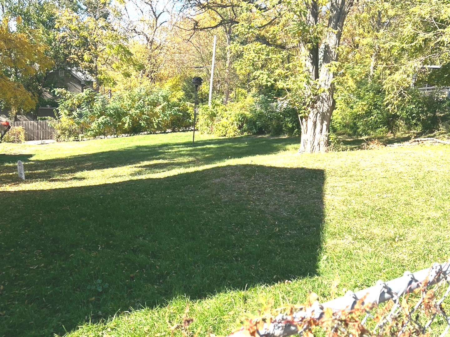 614 Czacki Street, Lemont, IL 60439