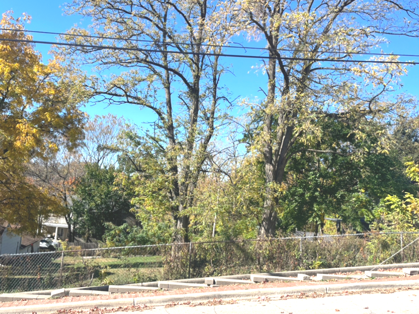 614 Czacki Street, Lemont, IL 60439