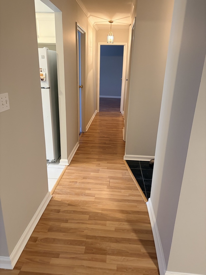 500 W Huntington Commons Road #255, Mount Prospect, IL 60056