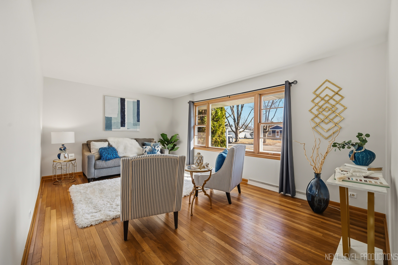 906 Carol Avenue, Elgin, IL 60123