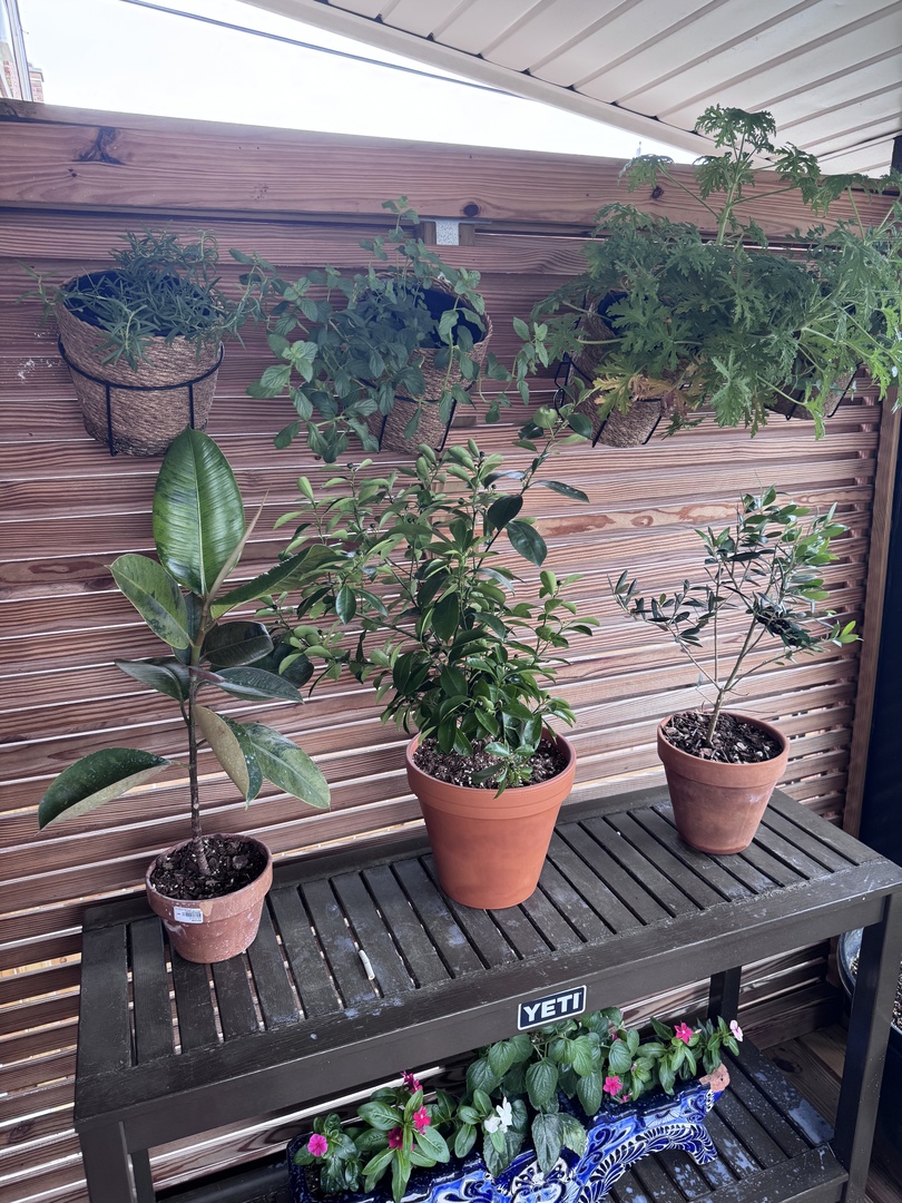 6813 S Keeler Avenue, Chicago, IL 60629